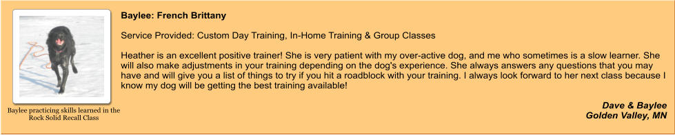 Baylee: French Brittany   Service Provided: Custom Day Training, In-Home Training & Group Classes  Heather is an excellent positive trainer! She is very patient with my over-active dog, and me who sometimes is a slow learner. She will also make adjustments in your training depending on the dog's experience. She always answers any questions that you may have and will give you a list of things to try if you hit a roadblock with your training. I always look forward to her next class because I know my dog will be getting the best training available!  Dave & Baylee Golden Valley, MN Baylee practicing skills learned in the Rock Solid Recall Class