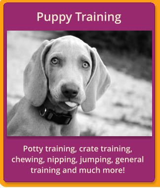 Potty training, crate training, chewing, nipping, jumping, general training and much more! Puppy Training