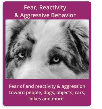 Fear, Reactivity                         & Aggressive Behavior Fear of and reactivity & aggression toward people, dogs, objects, cars, bikes and more.
